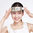 파넬