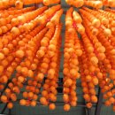 삼본농장 이미지