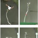 오백년이야기 이미지