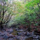 소백산자락길 제4코스 이미지