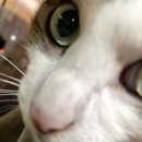 오늘도  고마워 이미지