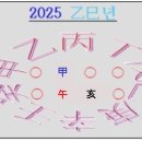 2025을사년 일주별 운세풀이(월지 亥와 사업운세) 이미지