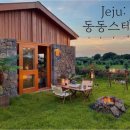 동동스테이 이미지