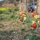 안면도 풀하우스 펜션 이미지