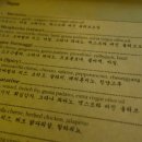 살루쪼