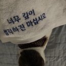 김*희 이미지