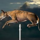 신기방기 이미지