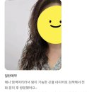천연헤나 전문샵 | 울산 헤나 머리 파마 가능한 곳, 긴머리 펌 성공 후기, 크리프 펌 전문 샵부터 찾으세요