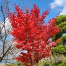 KT&G상상마당논산 이미지