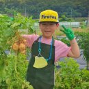 칠곡한솔유치원 이미지