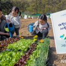 가족농장 이미지