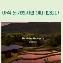 환경공예+캘리, 함께 만드는 지속가능한 발전 | 5인 가족이라 더 간절한 호시노 리조트, 아직 못 가봤지만 이미 반해버렸다.