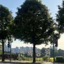 연희자연마당 공원 | 인천 주말 데이트 추천, 반려동물과 산책하기 좋은 청라 연희자연마당 방문후기