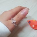 뿔난여우 반지