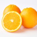 오렌지장 이미지