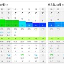 (예약완료).....2/11일 토요일 왕열기/돼지우럭 여수해호 이미지