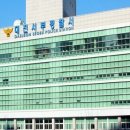 어째 이런일이... 대전 초교서 8살 여아 흉기에 찔려 숨져 이미지