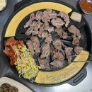 마포숯불갈매기 이미지