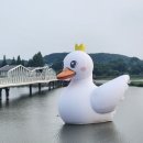 새벽의 고요함 속에서 만난 힐링, 성성호수공원 스로우조깅 후기(달리는영맨)