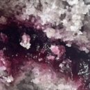 청산 블루베리 이미지