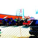 대불금강 이미지