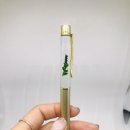 사막여우하바리움 이미지