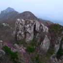 땅끝 남도의 향기 이미지