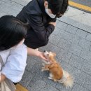 오다방 이미지