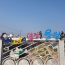 빛이물들다 이미지