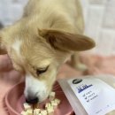 주식회사 동물의집 이미지