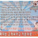 장타당구장 이미지