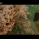 미스터사인 - 하남시 조정대로 45 | 미스터사인