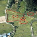 세광 부동산중개사무소 이미지