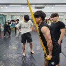 태평미트 이미지