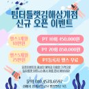 팀터틀랫김해 이미지