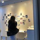 엥시리 콘서트 근데 서울여행을 곁들인...