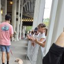 댕댕CLUB 이미지