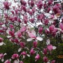 문산 사거리 이미지