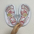 하모니카로 건강과 행복을 누려요 | 아이워너 발 지압판_내돈내산 발마사지 한달 후기