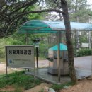 영산통닭