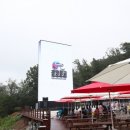 광명동굴 (코끼리차 주차장) 서울신문