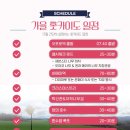 [일본] 날씨요정 어디감? 비오는 날 비에이투어 후기 (+준페이 식사 성공)