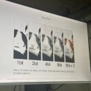 사진스튜디오라이팅(심화) 이미지