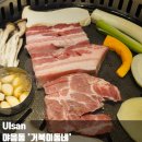 신성소프트 | 야음동 맛집 거북이동네 울산 수암점 수암시장 근처 가성비 점심 식사 추천