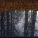 아침풍경 이미지