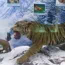 3.1운동길 이미지