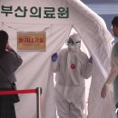 가야스파벨리 뉴스1