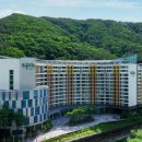 메이힐스리조트 이미지