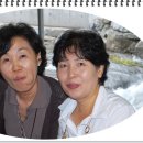 양수초등학교 이미지