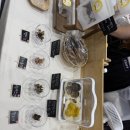 멍멍캐슬 이미지